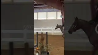 #jumping #mason #show #equestrian