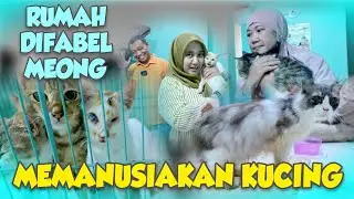 MEREKA LUAR BIASA ❗️🤩❗️MENYELAMATKAN KUCING‼️ANIMAL COMMUNICATOR