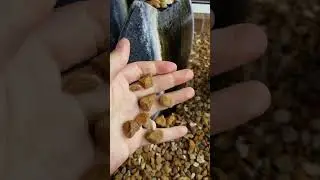 Sound of small rocks and running water from a fountain ⛲ #asmrsounds