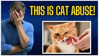 Is Carnivore Safe For Cats?