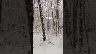 Decide #wisdom #quotes #inspire #winter #nature #walk #snow #peaceful #motivation