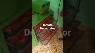 Tomato Dehydrator