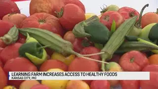 Kansas City students help combat food insecurity with urban farm