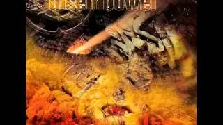 Disembowel - Violence