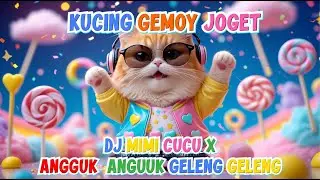 KUCING GEMOY JOGET DJ MIMI CUCU X ANGGUK ANGUUK GELENG GELENG #dj #djmimicucu #kucing #kucingjoget