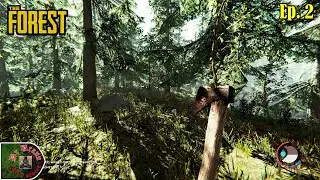 The Forest: Normal Survival (Ep. 2)