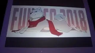 Репортаж с Funoco 2018