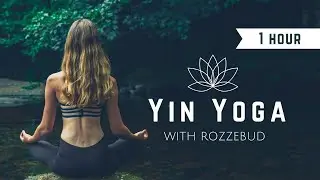 Yin Yoga Flow With Tarot Intention To Strip Illusions | 1 Hour Yin Yoga Full Body For Beginner 2024