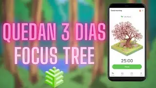 FOCUS TREE - iRAPIDO QUEDAN 3 DIAS! AIRDROP GRATUITO