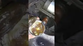 Ecosport falla de frenos