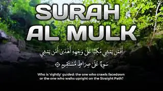 Tranquil Tilawah of Surah Al-Mulk | Faith and Reflection and Reflection