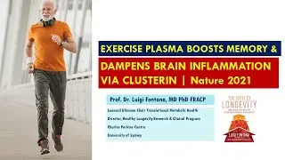 Exercise training boosts memory & dampens brain inflammation via the protein clusterin | Nature 2021
