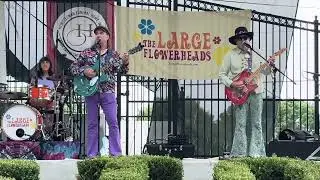 Large Flowerheads (Love Grows Where My Rosemary Hoes) - Dimmick Park - August 17, 2024