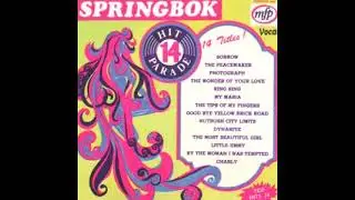 Ring Ring Abba cover       SPRINGBOK HIT PARADE