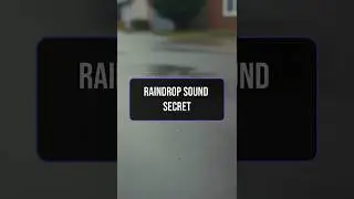 How Rain Really Makes That Plink Sound
