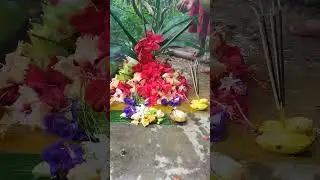 baluka puja #khudurukuni #khudurukuniosha #maamangala