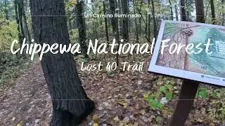 Chippewa National Forest in Minnesota - Lost 40 Trail [4K]