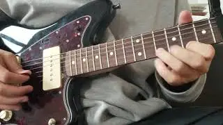 Human Garden - Western Provinces Hard Diaries (Guitar Playthrough)