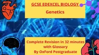 GCSE EDEXCEL Biology Genetics complete revision summary in just 32 minutes
