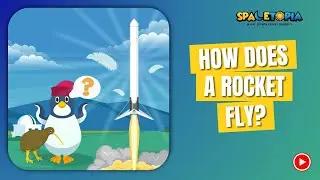 How does a rocket fly? | Spacetopia | #spacesuccess #sciencefacts #scienceexperiment #newtonlaws