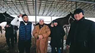 OT BOZOR! HORSE MARKET IN UZBEKISTAN! КОННЫЙ РЫНОК УЗБЕКИСТАНА!