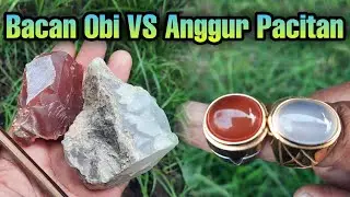 Bacan Obi VS Batu Anggur Pacitan