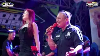 RANA DUKA - TOGOG DK MUSIK LIVE SOLOWIRE KEBONAGUNG DEMAK || WEDDING ARIF & ARIFAH