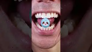 Best ASMR | 🐶 Hard Candy
