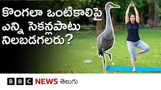 కొంగలా ఒంటికాలిపై ఎంతసేపు నిల్చుంటారు? ఈ Test మన ఆరోగ్యం గురించి ఏం చెబుతుందంటే.. | Health