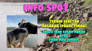 MANCING BELES LAGI umpan MAGGOT di Sungai Progo pakai TEKNIK SERETAN DASARAN spot DAM SRANDAKAN