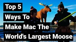 Mac The Moose - Leroy and Leroy