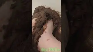 Two Cakes Under my Bare Feet