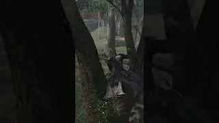 AC Black Flag vs AC Rogue | Parkour Comparison