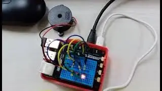 Raspberry Pi buzzer using user's input