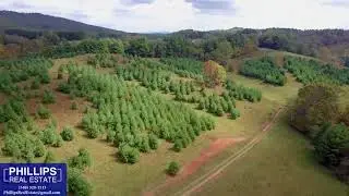 For Sale - Simpkins Farm - 100 ac - Phillips Real Estate