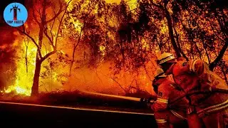 Top 10 Most Dangerous Wildfire in History
