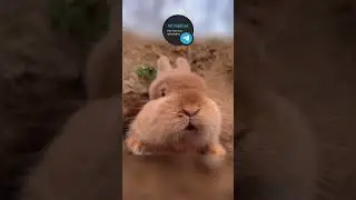 error code: 502