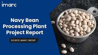 How to Setup a Navy Bean Processing Plant: Detailed Report 2026