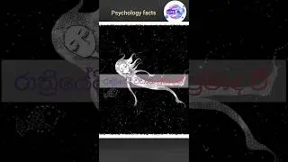 රෑට පරක්කු වෙලා නිදාගන්න අය💤 #shorts #sinhala #psychologyfacts #sinhalafacts