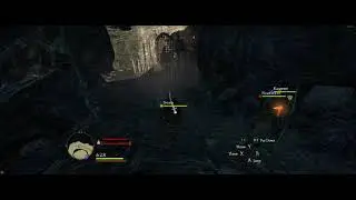 Dragons Dogma: Dark Arisen - Get Help
