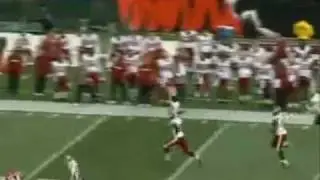 2010-2011 Cincinnati Bengals Preview