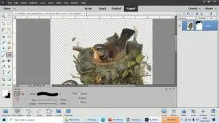 LESSON 19 How to use Layers Masks.  How to delete parts of an image you do not want