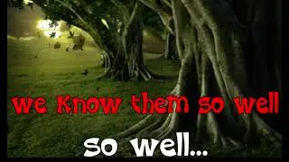 Culture Club - Victims Karaoke