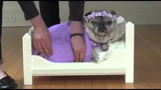 Earth Angel Cover - Ricky Moreno Ft. Pugs
