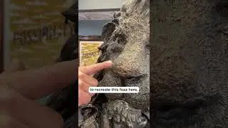 Советы скульпторам: Когда текстуры конфликтуют