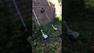 Overgrown garden clearance