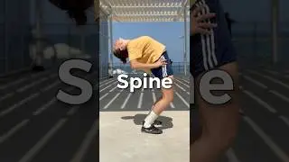 Spine 5 essential drills #spinemobility #spinehealth
