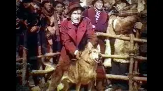 Белый клык (1946) White Fang
