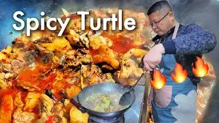 Homemade Chinese Food🌶️ Spicy Turtle with Szechuan Chili Sauce
