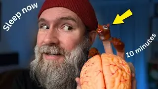 ASMR Sleep in 10 Minutes 👀 (Fast Triggers)